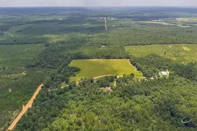 206 Southland Road, Butler, GA 31006 - Photo 54