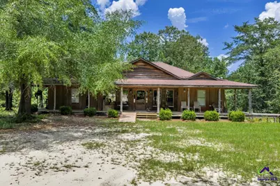 206 Southland Road, Butler, GA 31006 - Photo 2