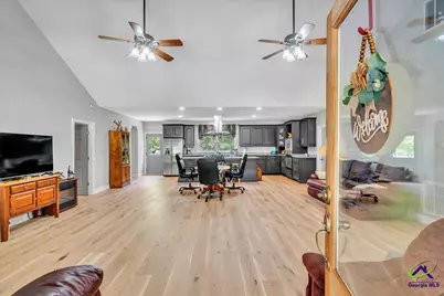 206 Southland Road, Butler, GA 31006 - Photo 4