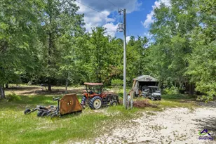 206 Southland Rd, Butler, GA 31006 - Photo 48