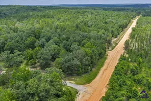 206 Southland Rd, Butler, GA 31006 - Photo 40