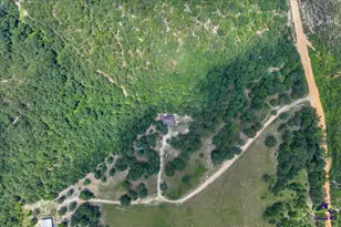 206 Southland Rd, Butler, GA 31006 - Photo 56