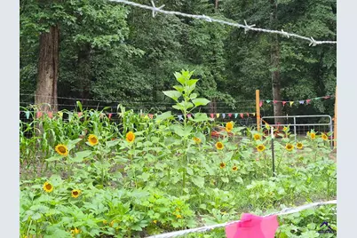 562 W Anderson Street, Oglethorpe, GA 31068 - Photo 60