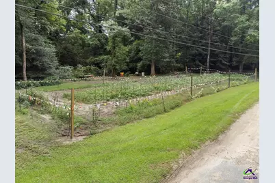 562 W Anderson Street, Oglethorpe, GA 31068 - Photo 58