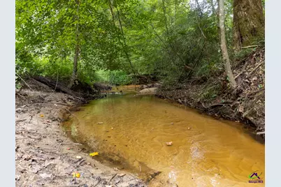 562 W Anderson Street, Oglethorpe, GA 31068 - Photo 56