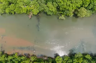 615 Old River Rd, Juliette, GA 31046 - Photo 38