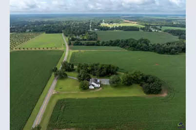 7890 Poplar Springs Road, Byromville, GA 31007 - Photo 56