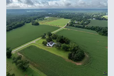 7890 Poplar Springs Road, Byromville, GA 31007 - Photo 42