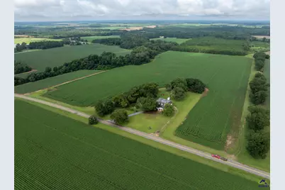 7890 Poplar Springs Road, Byromville, GA 31007 - Photo 52