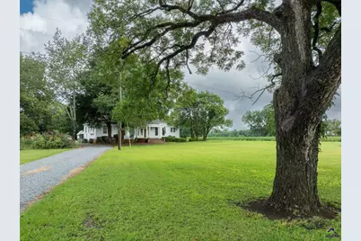 7890 Poplar Springs Road, Byromville, GA 31007 - Photo 6