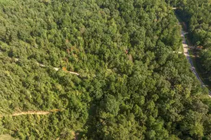 1979 Dent Rd, Musella, GA 31066 - Photo 60