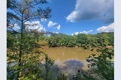 319 Riverside Drive, Hawkinsville, GA 31036 - Photo 48