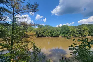 319 Riverside Dr, Hawkinsville, GA 31036 - Photo 48