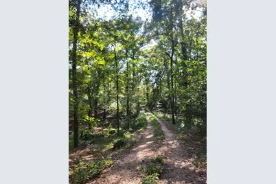 319 Riverside Drive, Hawkinsville, GA 31036 - Photo 12