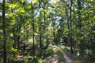 319 Riverside Dr, Hawkinsville, GA 31036 - Photo 12