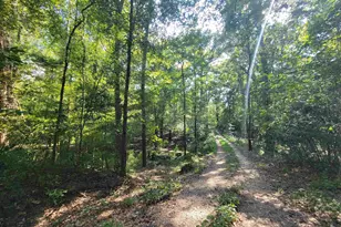 319 Riverside Dr, Hawkinsville, GA 31036 - Photo 10