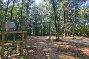 319 Riverside Dr, Hawkinsville, GA 31036 - Photo 22