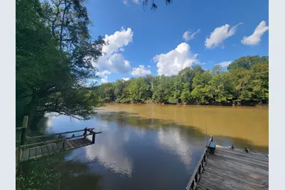 319 Riverside Drive, Hawkinsville, GA 31036 - Photo 44