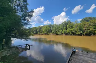 319 Riverside Dr, Hawkinsville, GA 31036 - Photo 44