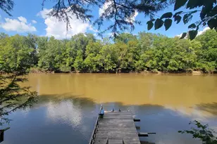 319 Riverside Dr, Hawkinsville, GA 31036 - Photo 46