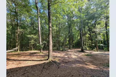 319 Riverside Drive, Hawkinsville, GA 31036 - Photo 30