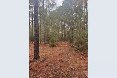 1949 Deerwood Place, Macon, GA 31211 - Photo 4