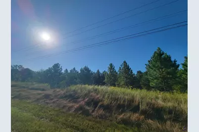 0 Benny Sharp Road, Hawkinsville, GA 31036 - Photo 1