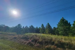 0 Benny Sharp Rd, Hawkinsville, GA 31036 - Photo 1