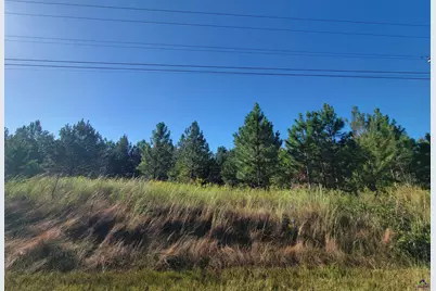 0 Benny Sharp Road, Hawkinsville, GA 31036 - Photo 2