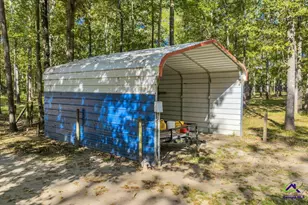 81 Peach Blossom Rd, Pineview, GA 31071 - Photo 12