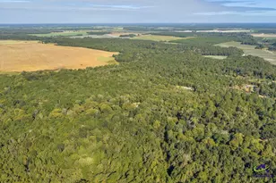 81 Peach Blossom Rd, Pineview, GA 31071 - Photo 2