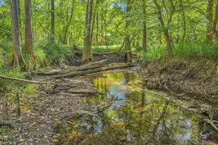 81 Peach Blossom Rd, Pineview, GA 31071 - Photo 14