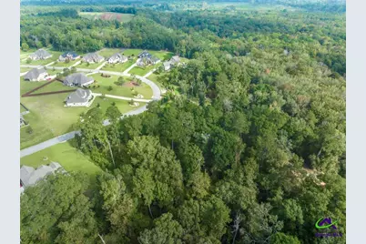 1063 Chattahoochee Drive, Bonaire, GA 31005 - Photo 4