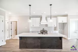 521 Bristleleaf Path, Kathleen, GA 31047 - Photo 10