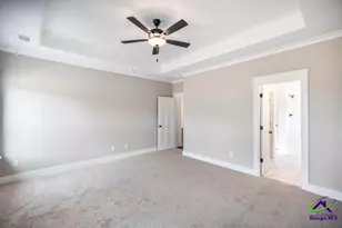 523 Bristleleaf Path, Kathleen, GA 31047 - Photo 14