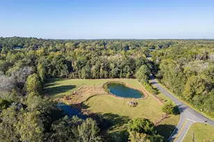 7522 Whitewater Rd, Ideal, GA 31041 - Photo 34