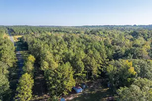 7522 Whitewater Rd, Ideal, GA 31041 - Photo 32