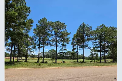 Lot 10, 11 Camden Way, Hawkinsville, GA 31036 - Photo 1