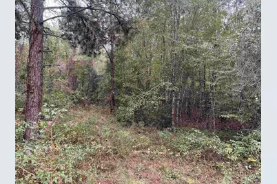 00 Sand Hammock, Hawkinsville, GA 31036 - Photo 2