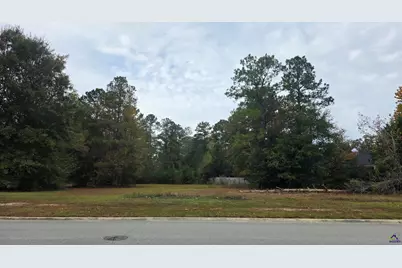 256 Falcon Crest, Warner Robins, GA 31088 - Photo 4