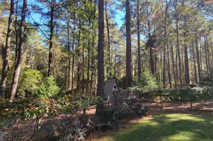 1159 Pineview Hwy, Pineview, GA 31071 - Photo 42