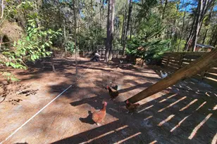 1159 Pineview Hwy, Pineview, GA 31071 - Photo 16