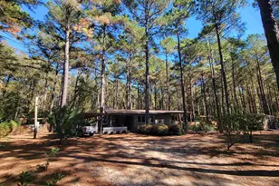 1159 Pineview Hwy, Pineview, GA 31071 - Photo 2