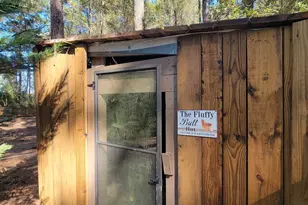 1159 Pineview Hwy, Pineview, GA 31071 - Photo 10