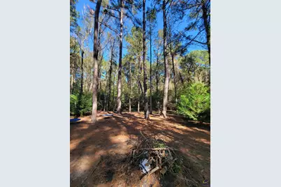 1159 Pineview Highway, Pineview, GA 31071 - Photo 34