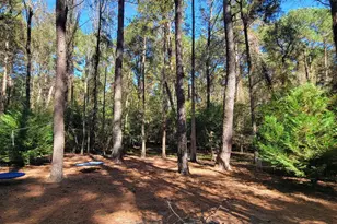 1159 Pineview Hwy, Pineview, GA 31071 - Photo 34