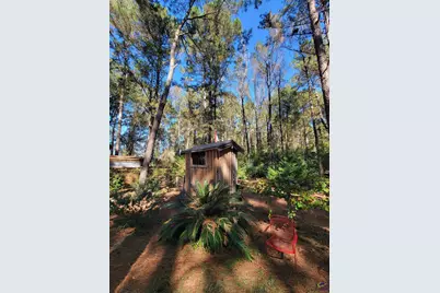 1159 Pineview Highway, Pineview, GA 31071 - Photo 44