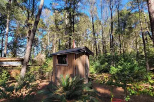 1159 Pineview Hwy, Pineview, GA 31071 - Photo 44