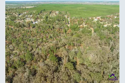 2574 Lower Hartley Bridge, Byron, GA 31008 - Photo 38