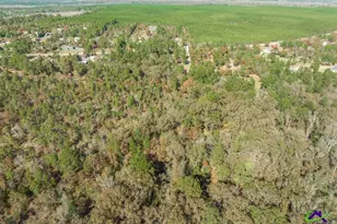 2574 Lower Hartley Bridge, Byron, GA 31008 - Photo 38